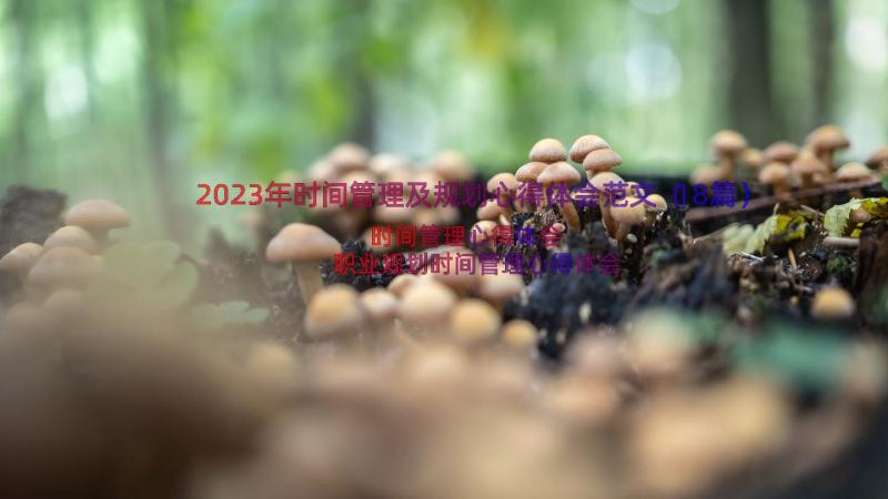 2023年时间管理及规划心得体会范文（18篇）