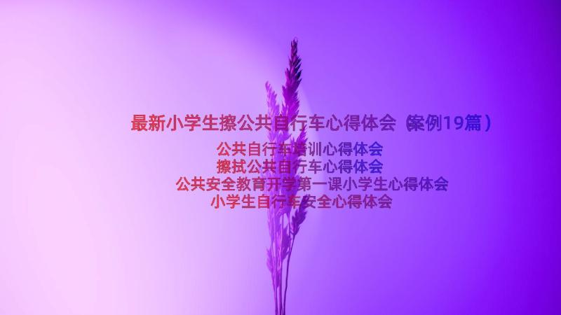 最新小学生擦公共自行车心得体会（案例19篇）