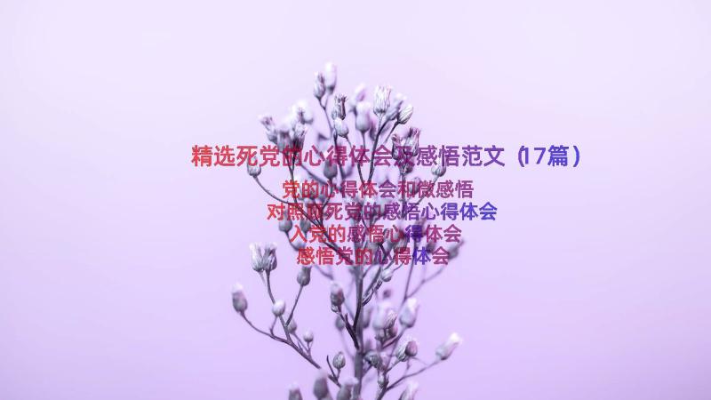 精选死党的心得体会及感悟范文（17篇）