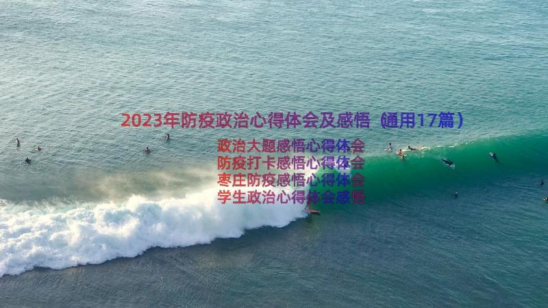 2023年防疫政治心得体会及感悟（通用17篇）