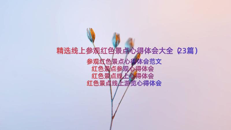 精选线上参观红色景点心得体会大全（23篇）