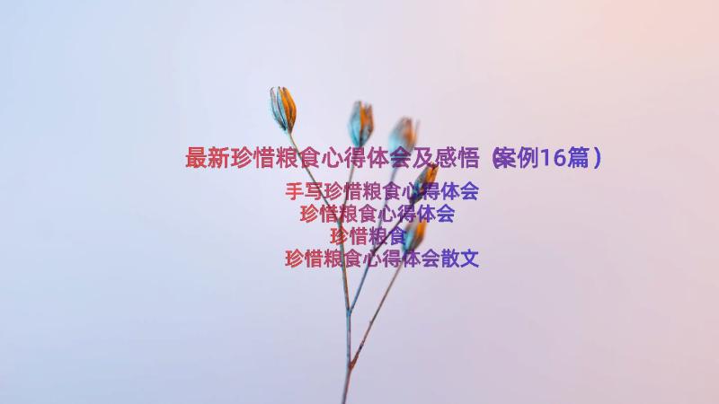 最新珍惜粮食心得体会及感悟（案例16篇）