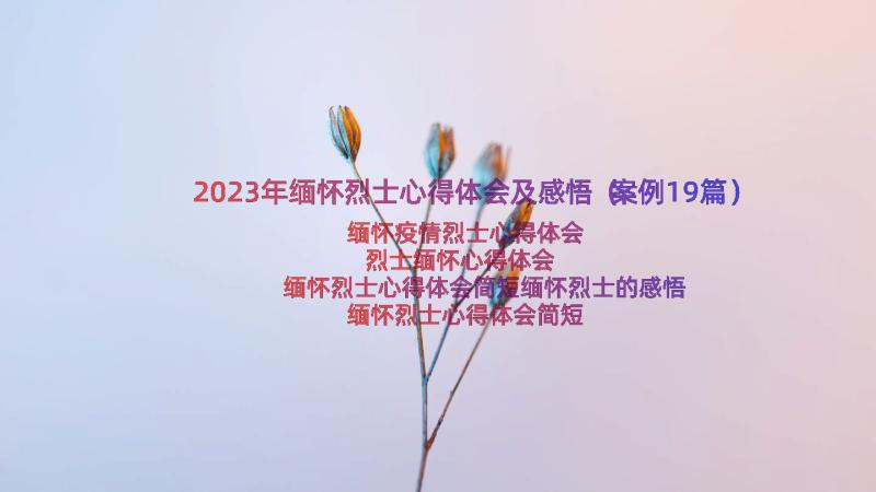 2023年缅怀烈士心得体会及感悟（案例19篇）