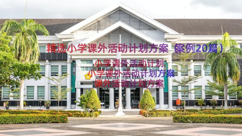 精选小学课外活动计划方案（案例20篇）