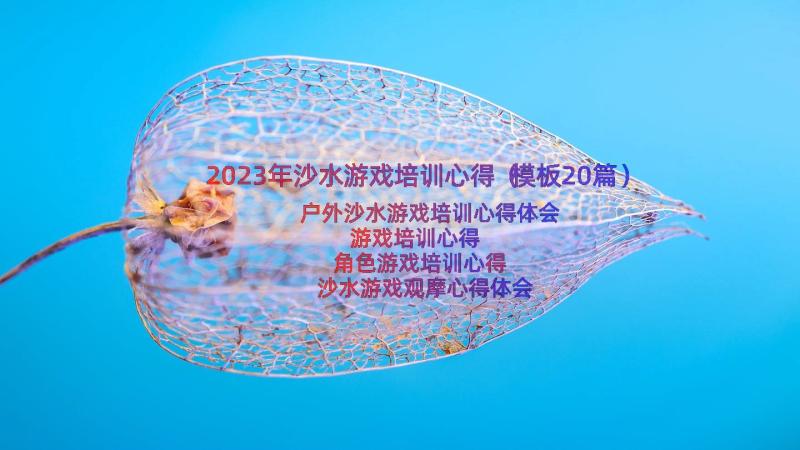 2023年沙水游戏培训心得（模板20篇）