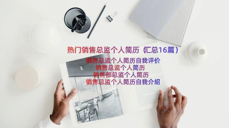 热门销售总监个人简历（汇总16篇）