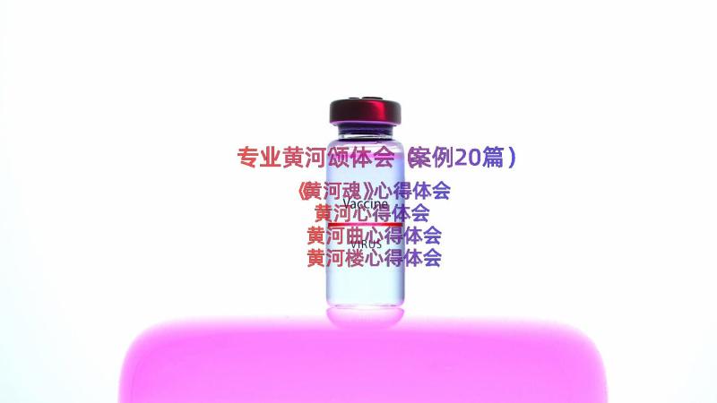 专业黄河颂体会（案例20篇）