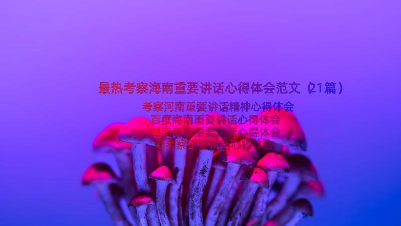 最热考察海南重要讲话心得体会范文（21篇）