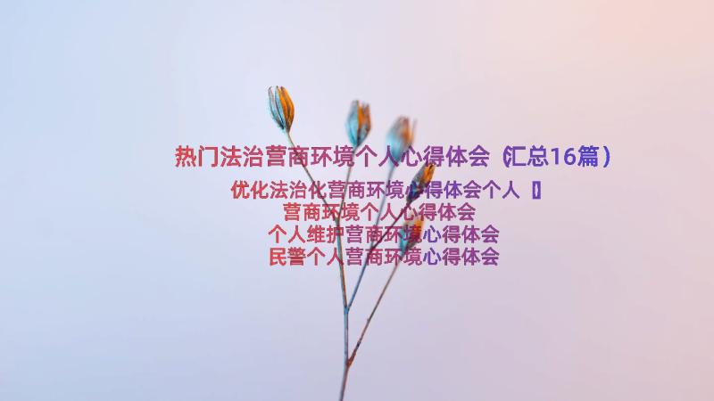 热门法治营商环境个人心得体会（汇总16篇）