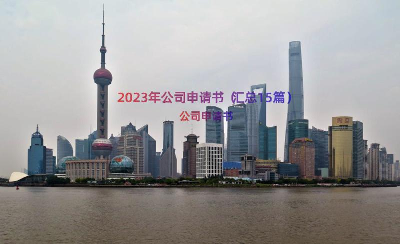 2023年公司申请书（汇总15篇）