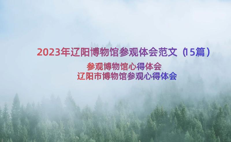 2023年辽阳博物馆参观体会范文（15篇）