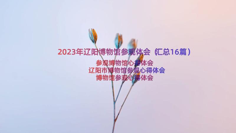 2023年辽阳博物馆参观体会（汇总16篇）