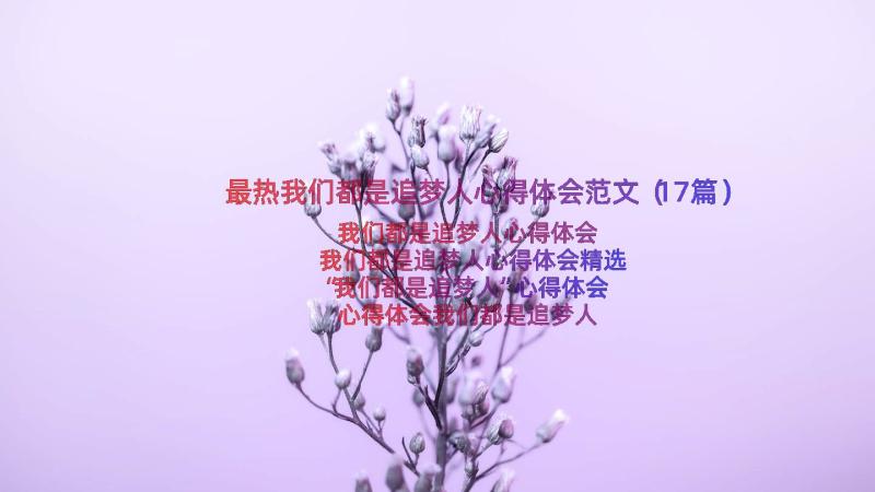 最热我们都是追梦人心得体会范文（17篇）