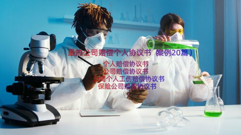 最热公司赔偿个人协议书（案例20篇）