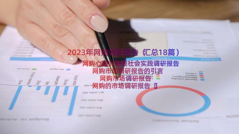 2023年网购调研报告（汇总18篇）