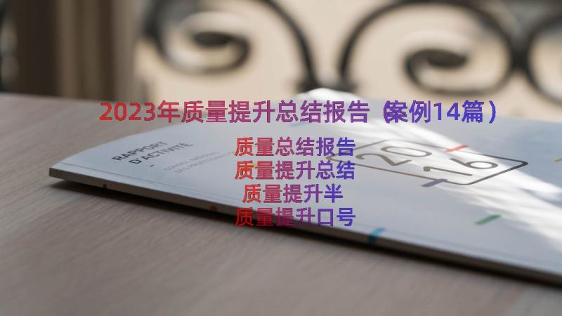 2023年质量提升总结报告（案例14篇）