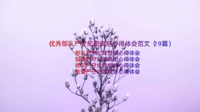 优秀部队严守纪律规矩心得体会范文（19篇）