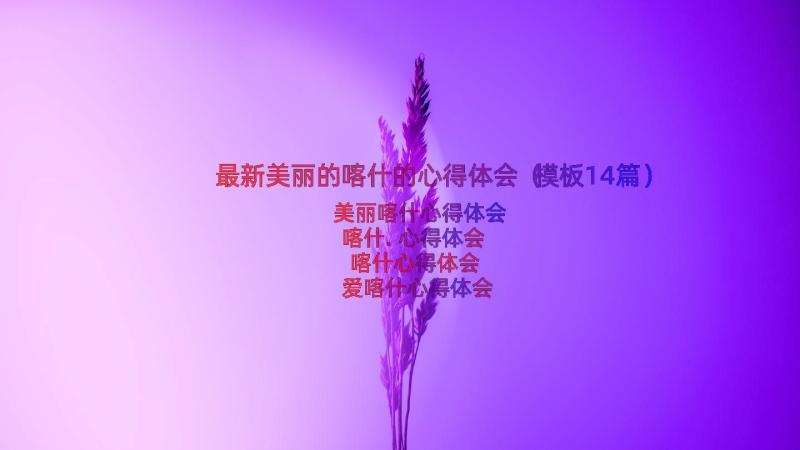 最新美丽的喀什的心得体会（模板14篇）