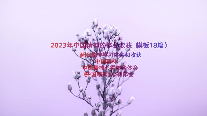 2023年中国精神的体会收获（模板18篇）