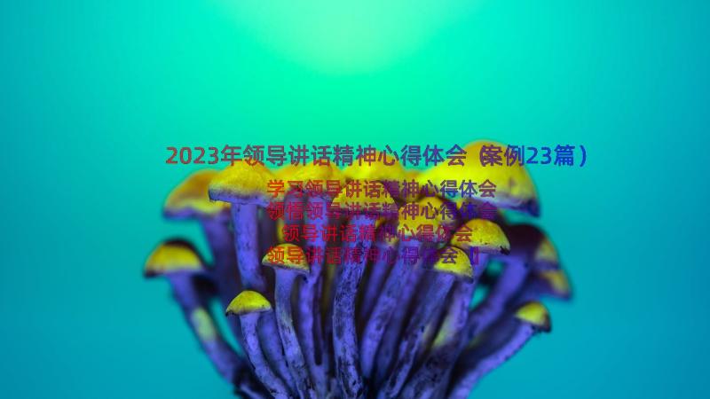 2023年领导讲话精神心得体会（案例23篇）