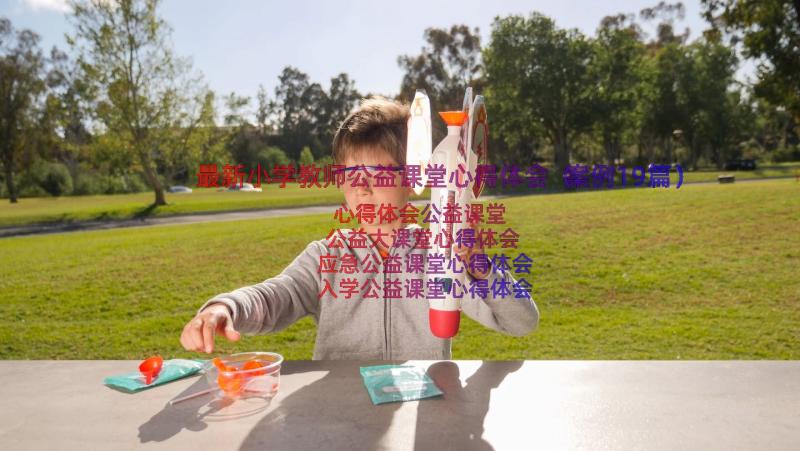 最新小学教师公益课堂心得体会（案例19篇）