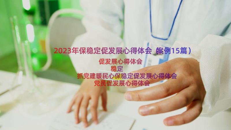 2023年保稳定促发展心得体会（案例15篇）