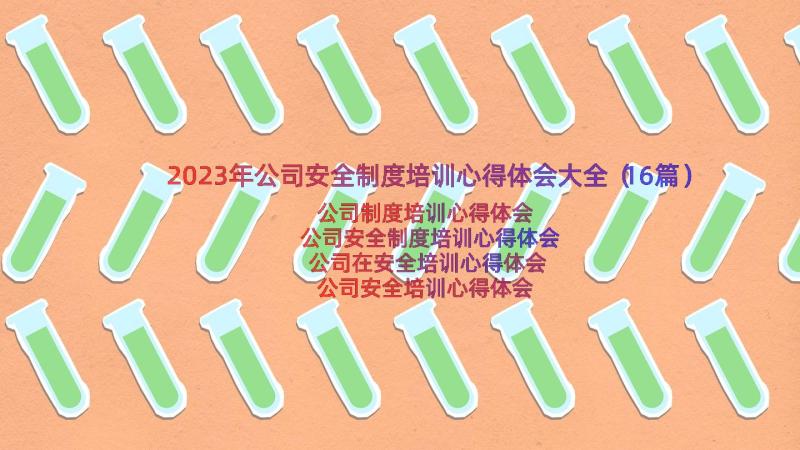 2023年公司安全制度培训心得体会大全（16篇）