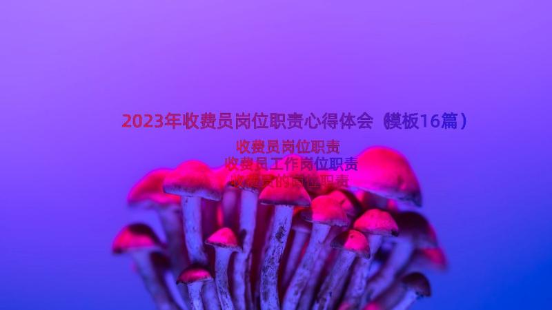 2023年收费员岗位职责心得体会（模板16篇）