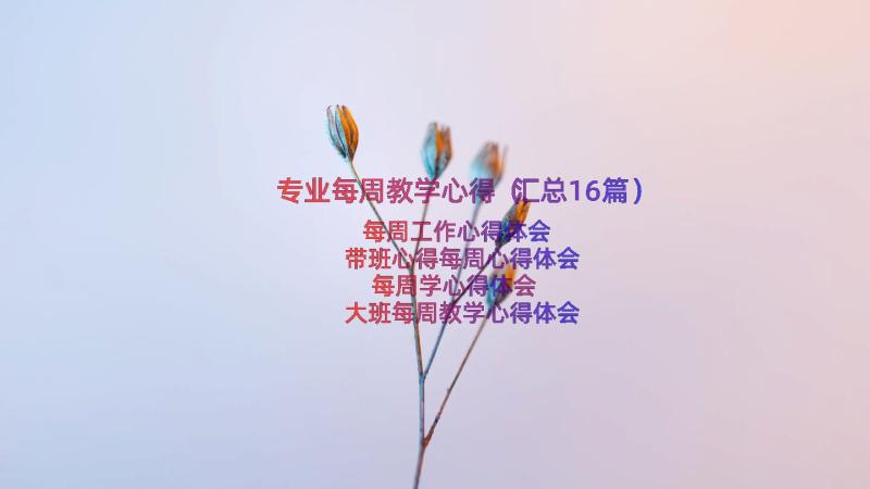 专业每周教学心得（汇总16篇）