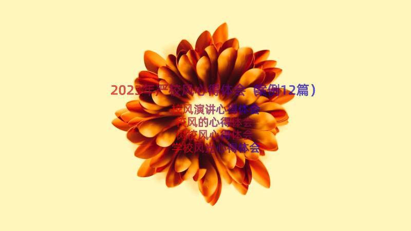 2023年严校风心得体会（案例12篇）