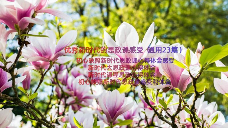 优秀新时代的思政课感受（通用23篇）