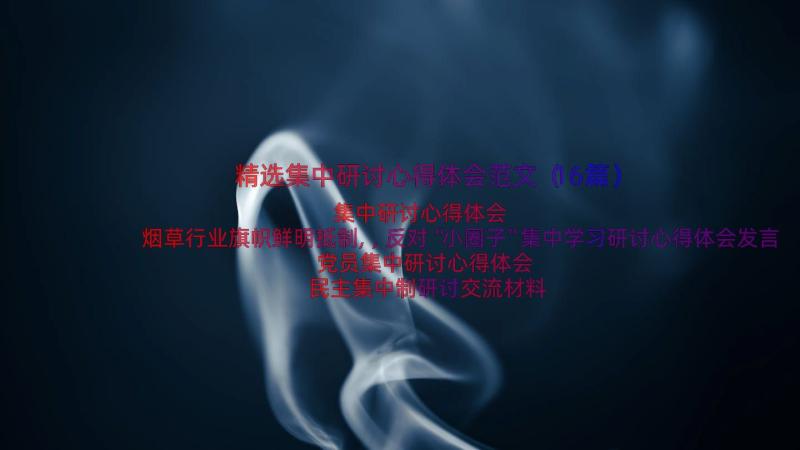 精选集中研讨心得体会范文（16篇）