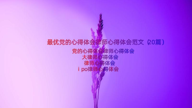 最优党的心得体会律师心得体会范文（20篇）