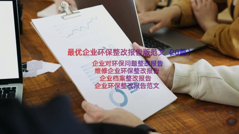 最优企业环保整改报告版范文（20篇）