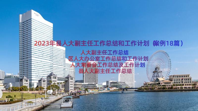 2023年县人大副主任工作总结和工作计划（案例18篇）