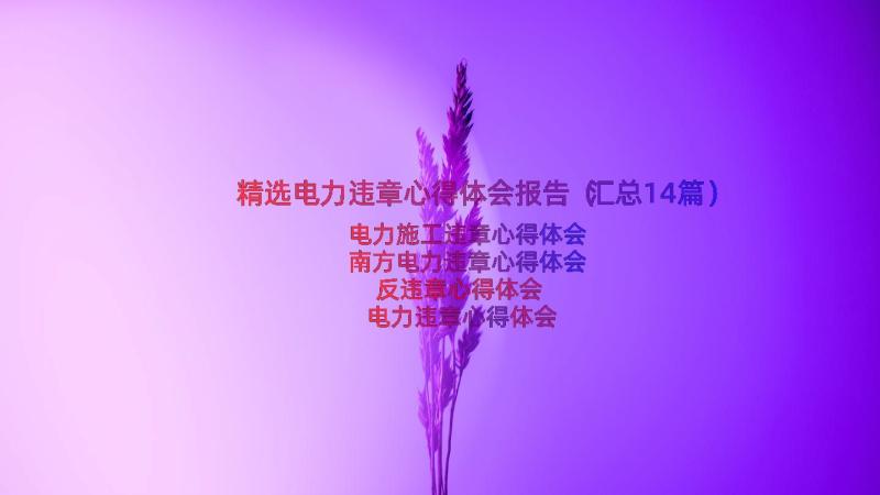 精选电力违章心得体会报告（汇总14篇）