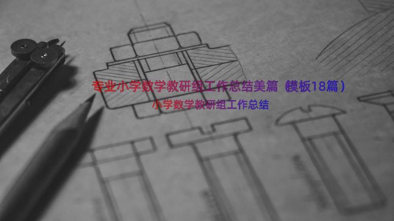 专业小学数学教研组工作总结美篇（模板18篇）