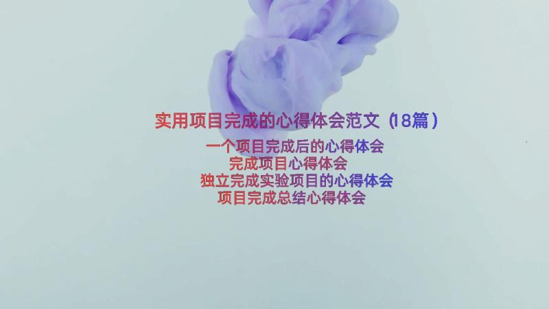 实用项目完成的心得体会范文（18篇）