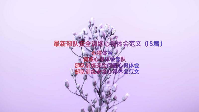 最新部队安全训练心得体会范文（15篇）