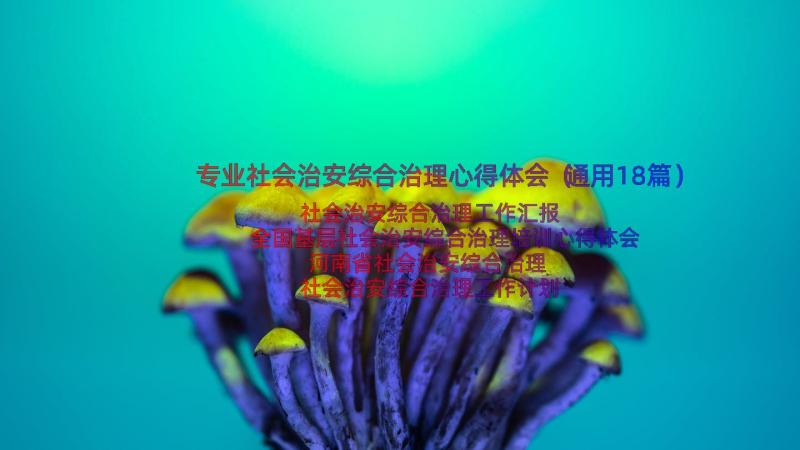 专业社会治安综合治理心得体会（通用18篇）