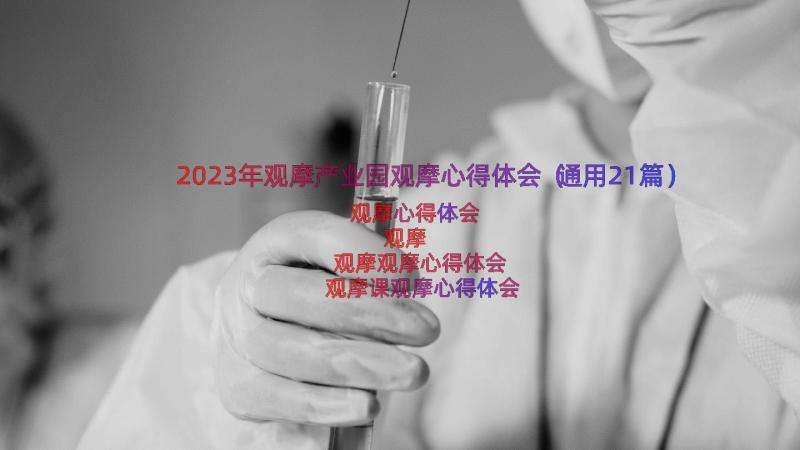 2023年观摩产业园观摩心得体会（通用21篇）