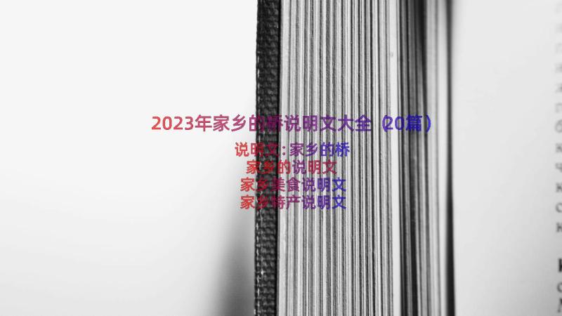 2023年家乡的桥说明文大全（20篇）