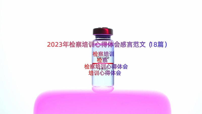 2023年检察培训心得体会感言范文（18篇）