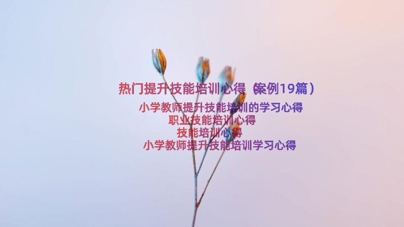 热门提升技能培训心得（案例19篇）