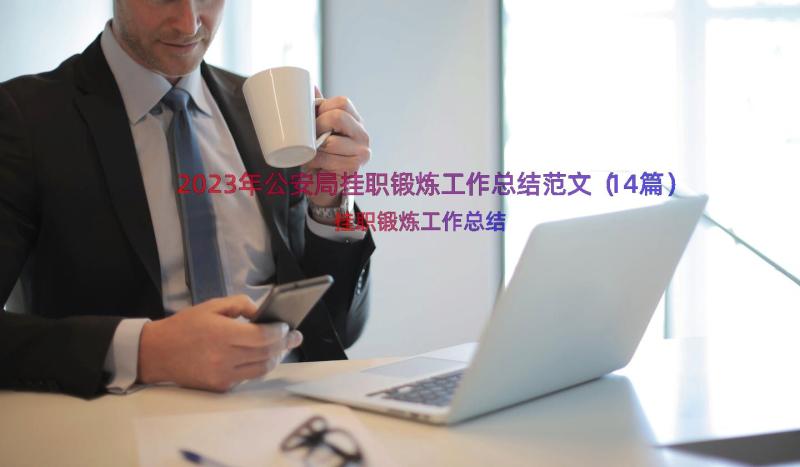 2023年公安局挂职锻炼工作总结范文（14篇）