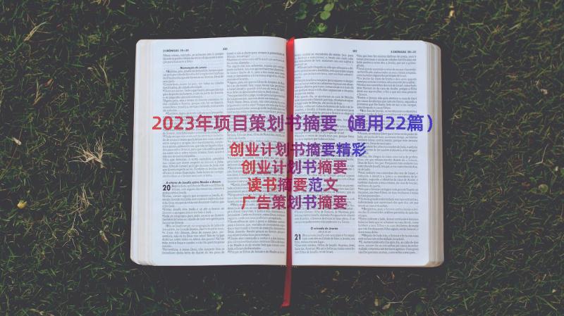 2023年项目策划书摘要（通用22篇）