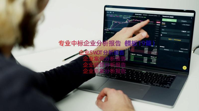 专业中标企业分析报告（模板19篇）