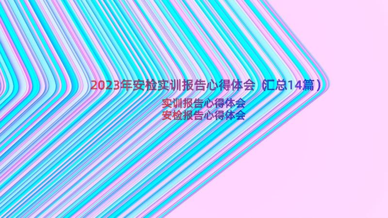 2023年安检实训报告心得体会（汇总14篇）