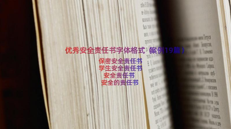 优秀安全责任书字体格式（案例19篇）