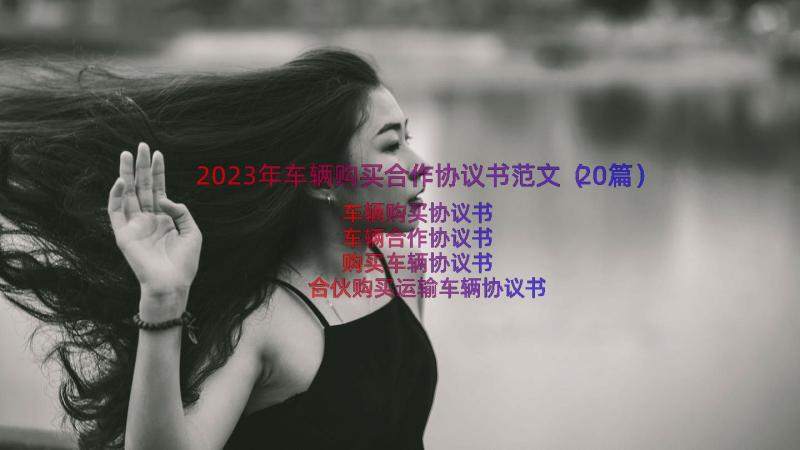 2023年车辆购买合作协议书范文（20篇）